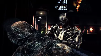 T-800 (New Suit Slot With Robotic Weights)