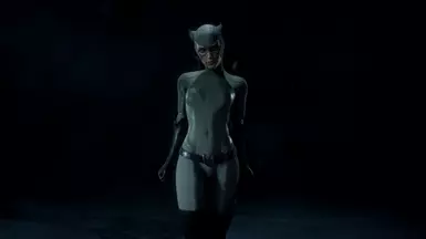 Grey 90's Catwoman (New Suit Slot)