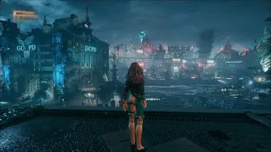 Custom View Angle Fov Camera