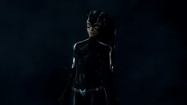Catwoman 90s Silver