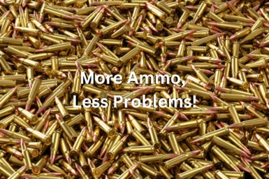 More Ammo Less Problems (A21)