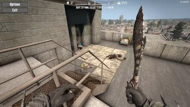 Rooftop Chicken Sighted.