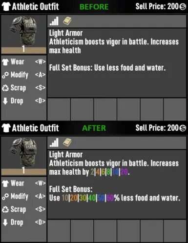 Detailed Armor Description - Before/After
