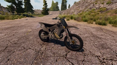 Dirt Bike (A20)