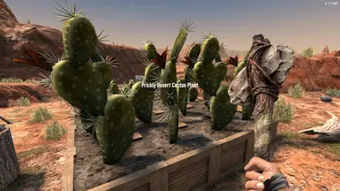 (V1) Desert Survival Food