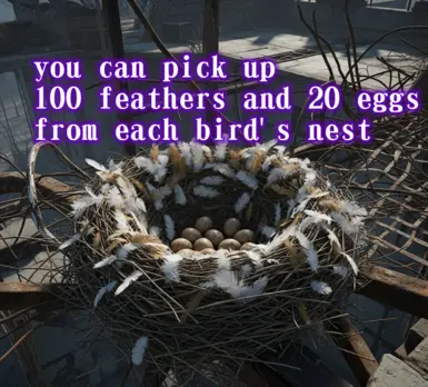 SaviorUltimateBirdsNestFeathersandEggs