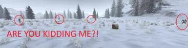 www.nexusmods.com