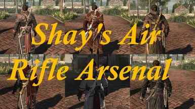 Shay's Air Rifle Arsenal