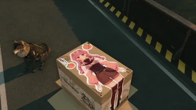 Kira Cardboard Box Showcase #2