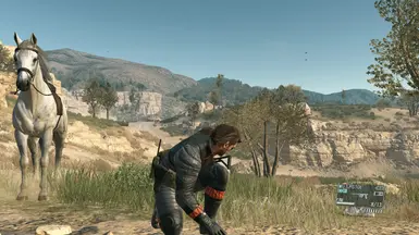 MGSV