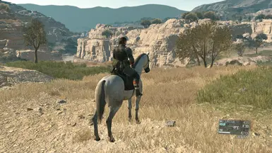 MGSV
