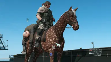 LVHORSE