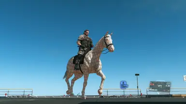 Gucci horse
