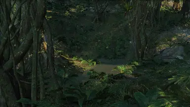 look closely