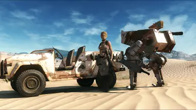Vehicle Camos