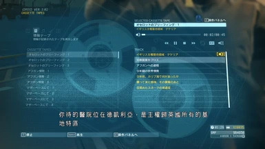 Chinese and Korean Subtitle Mod