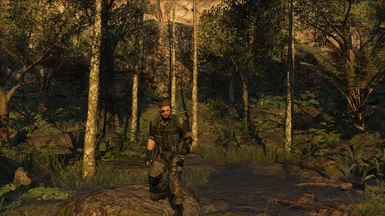 In Game Woodland