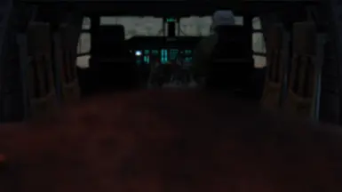 Bug In Helicopter