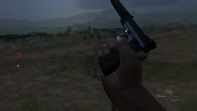 First Person View