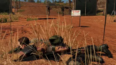 Red soil (250% sight)