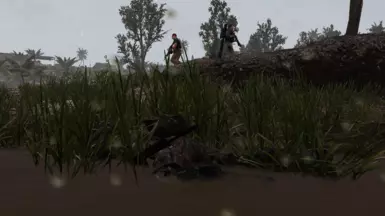 Swamp (250% sight)