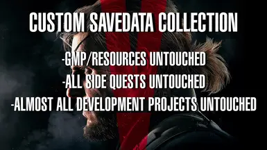 Custom Savedata Collection