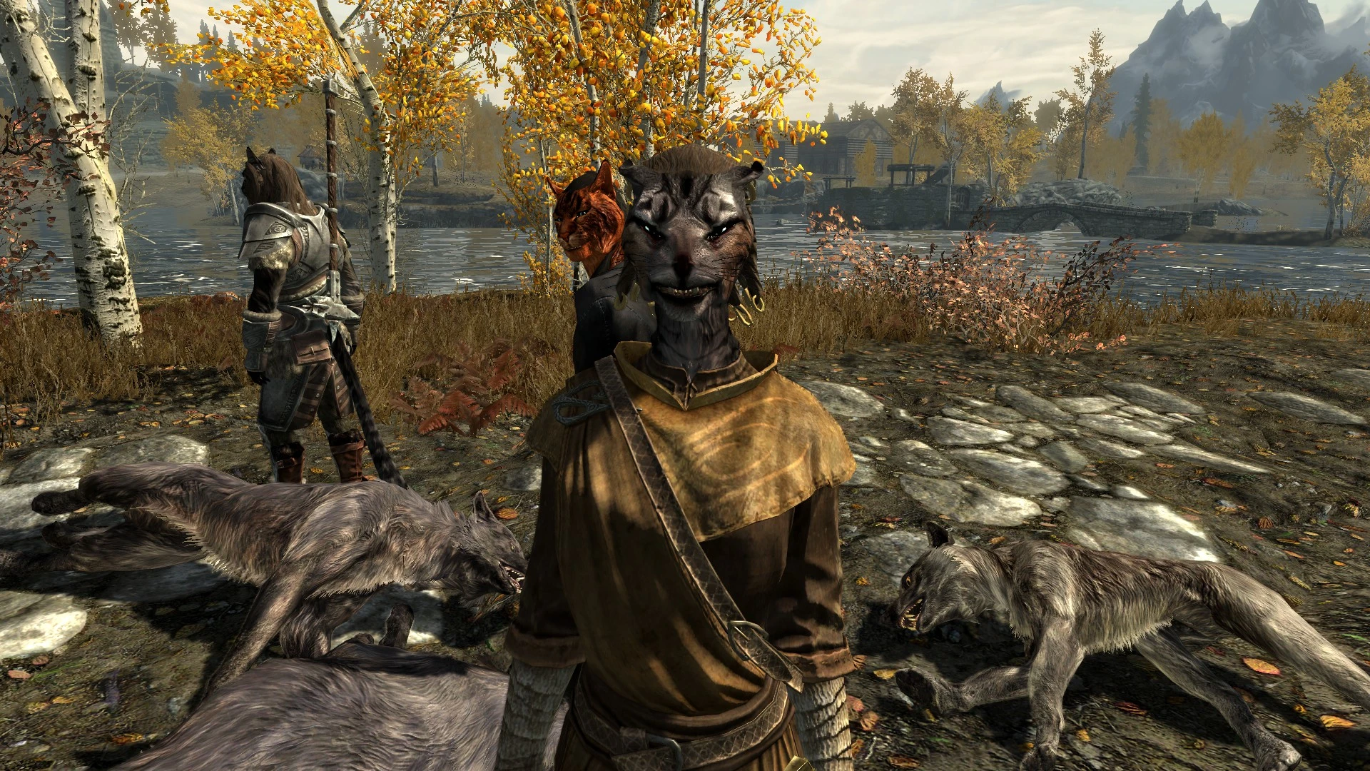 More Kats of Skyrim - Khajiit Followers Mod LE at Skyrim Nexus - Mods ...