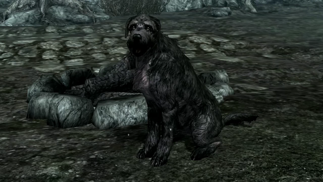 dogs of skyrim mod