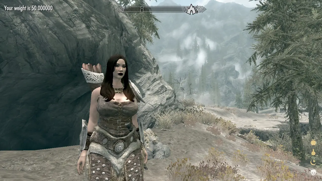 Skyrim ineed вылетает