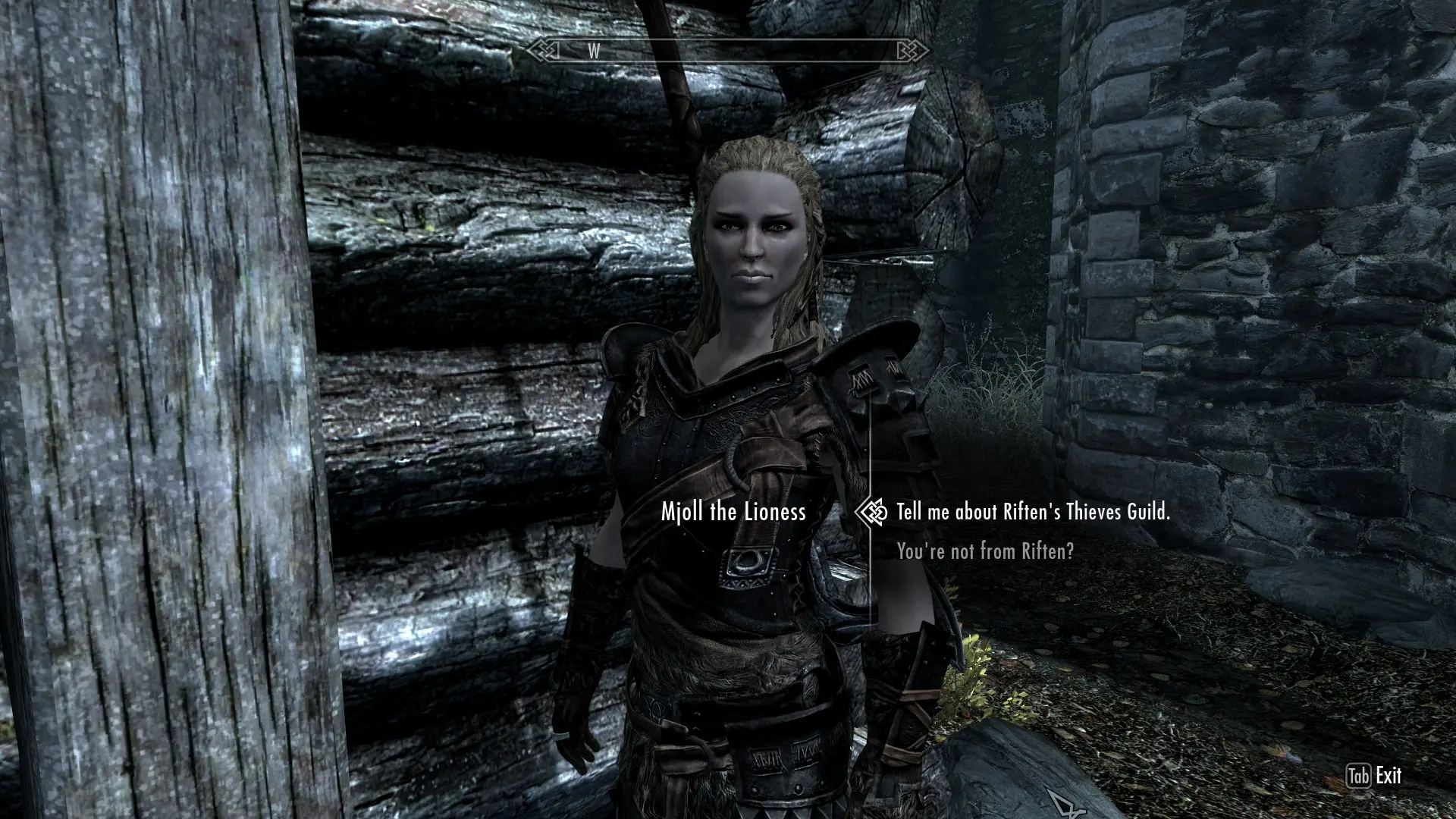 Wives of Skyrim - Improved Spouses at Skyrim Nexus - Mods and Community