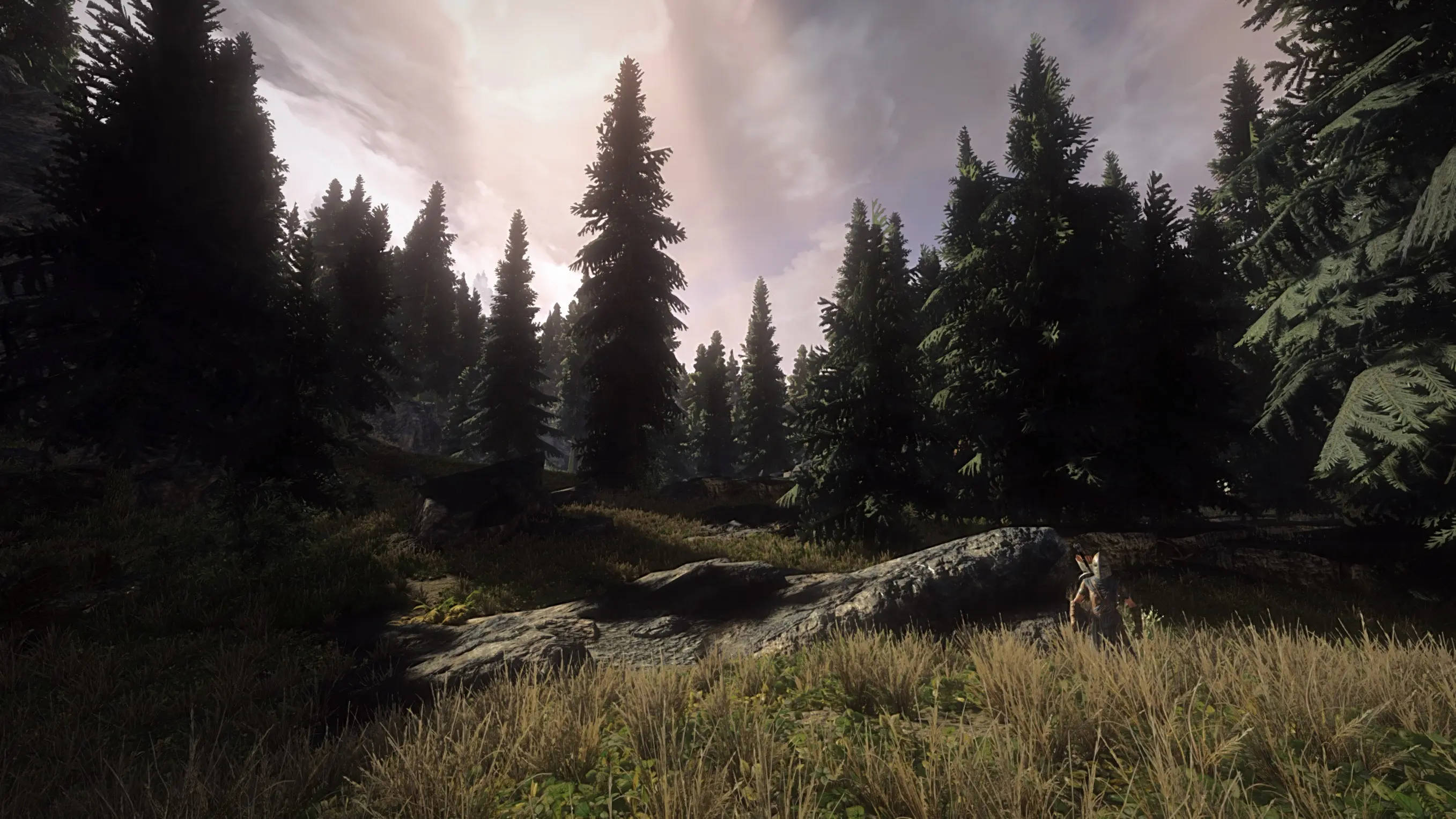 LE New Look ENB at Skyrim Nexus - Mods and Community