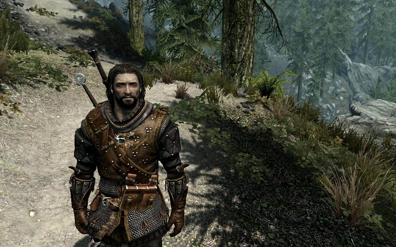 The Witcher 2 - HD Retexture of Craftable Seltkirk Armor at Skyrim ...