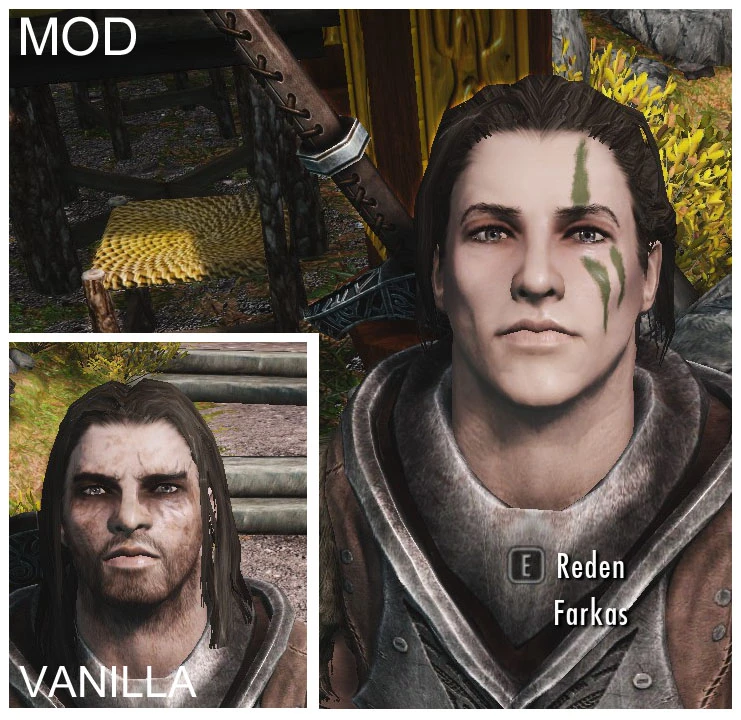 NPC Overhaul No2 At Skyrim Nexus - Mods And Community