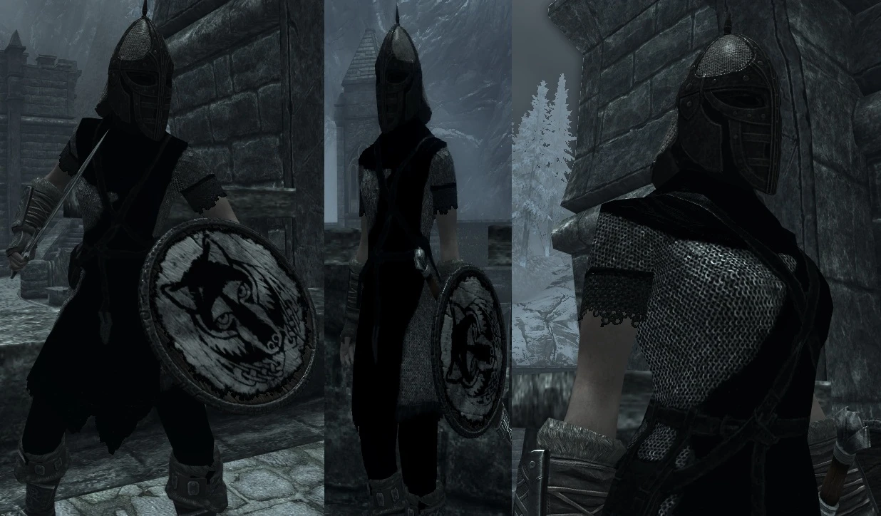 Solitude Black Guard At Skyrim Nexus Mods And Community.