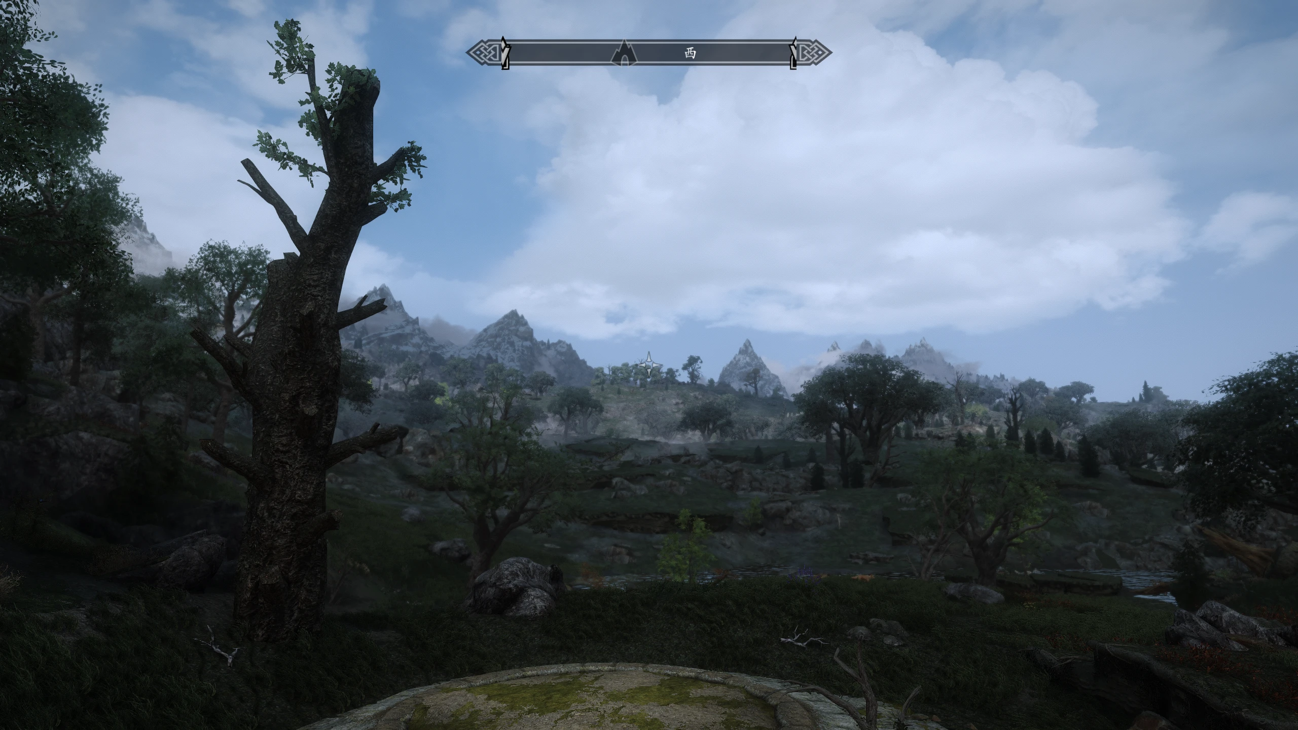 DynDOLOD 3 Alpha At Skyrim Nexus - Mods And Community