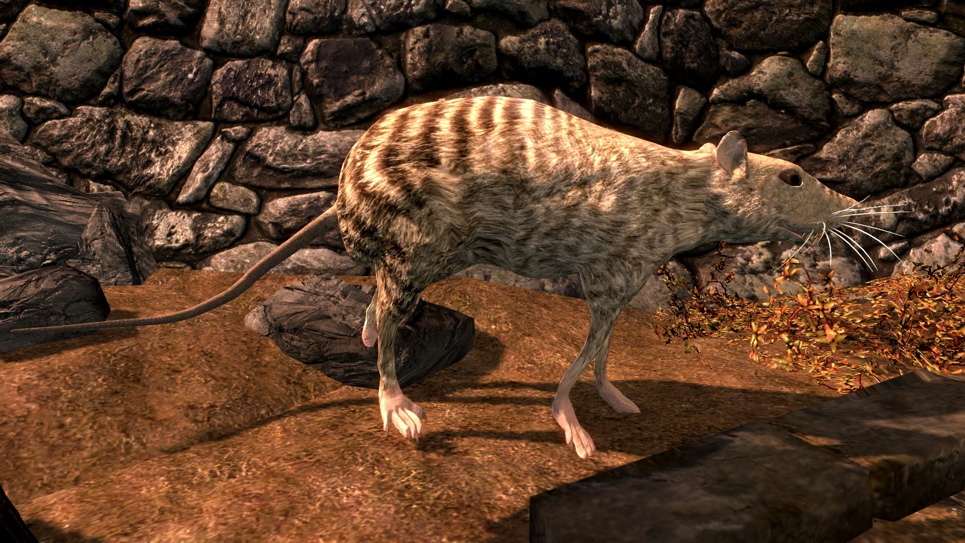 Scrolls for Rats Companions (with Summonable Mounts) at Skyrim Nexus ...