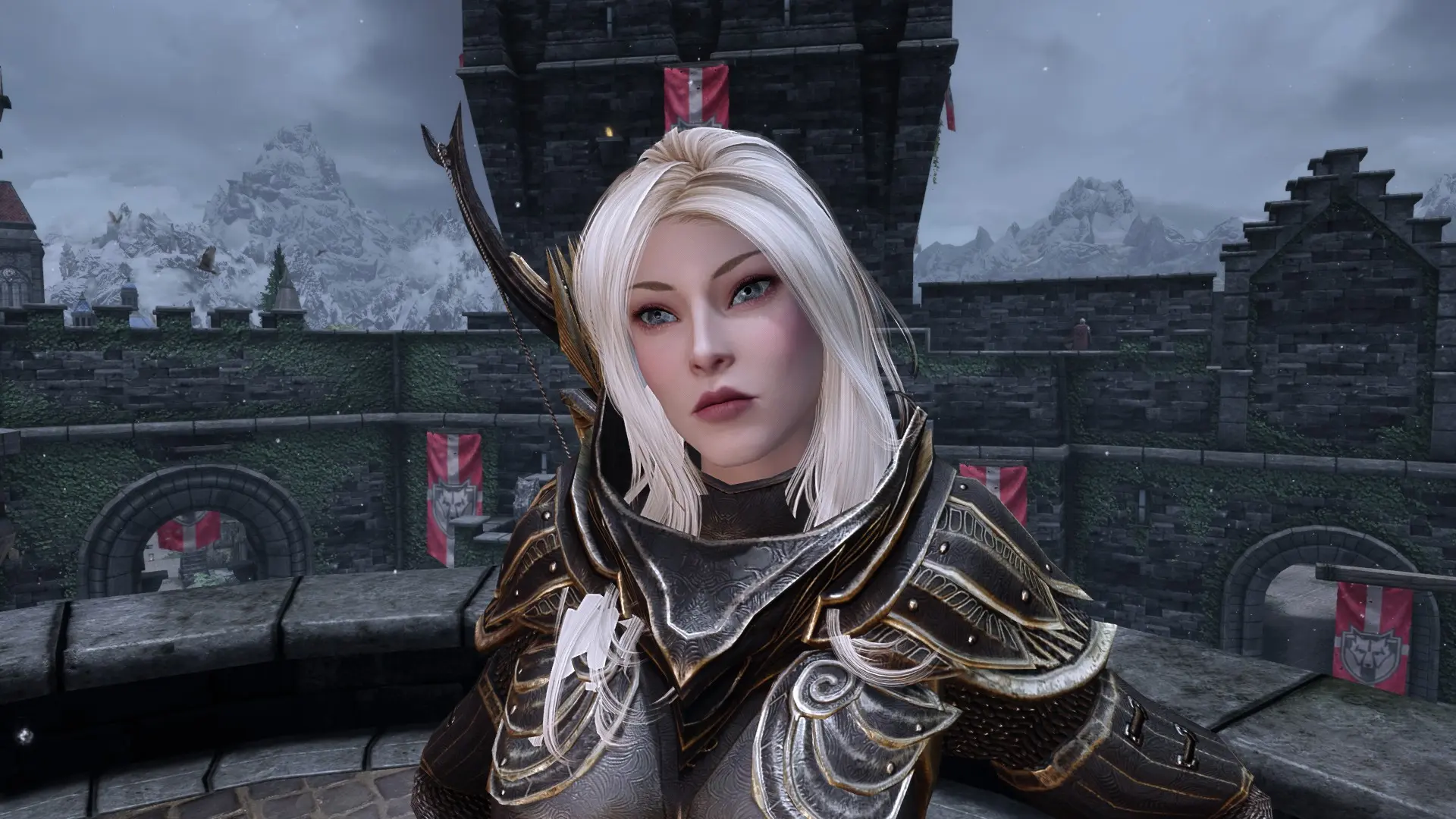 Aw Taari The Ice Cold High Elf Snow Elf Follower Le At Skyrim Nexus Mods And Community
