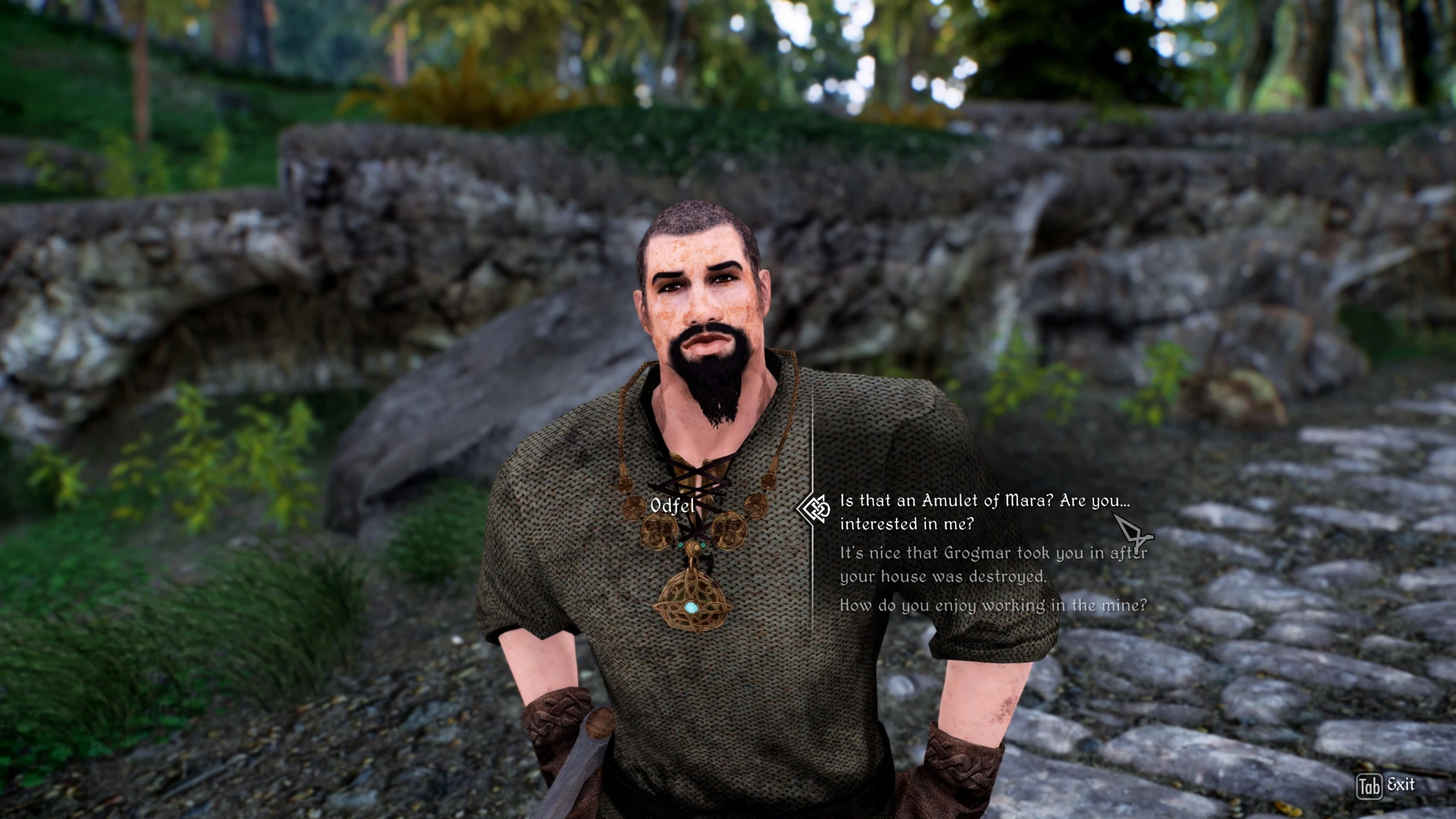 NPCs Wear Amulets Of Mara PLUS LE Backport At Skyrim Nexus Mods And   114848 1677466544 735304956 