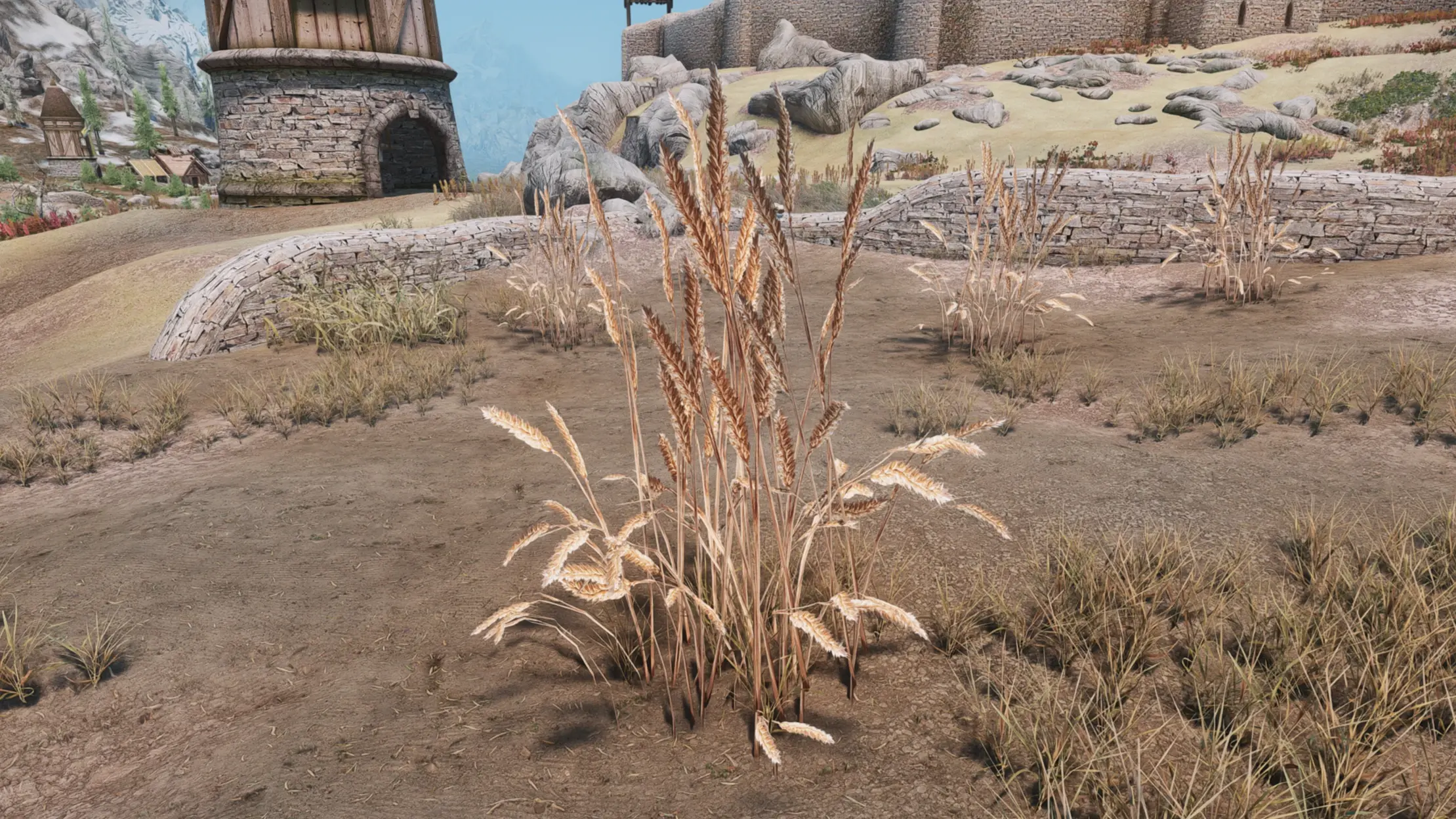 Wheat Replacer - Gluten-Free Grainless Crop Ultra Realistic - 2K LE at ...