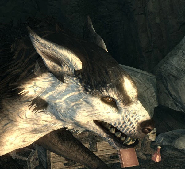Werewolf reskin at Skyrim Nexus - mods and community