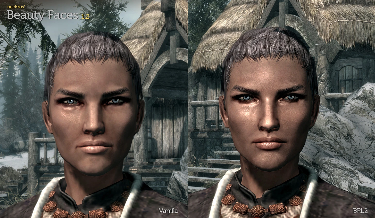 Beauty Faces for females at Skyrim Nexus - Mods and Community