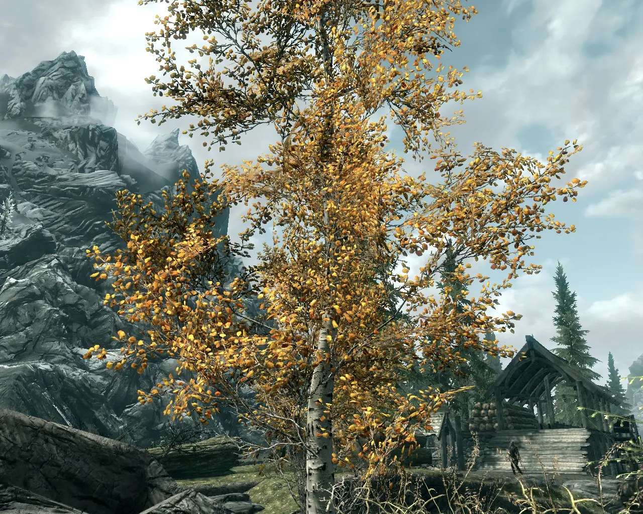 skyrim best tree mod