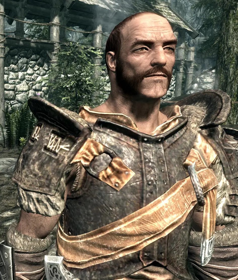 Skyrim NPCs reimagined -WIP- at Skyrim Nexus - Mods and Community