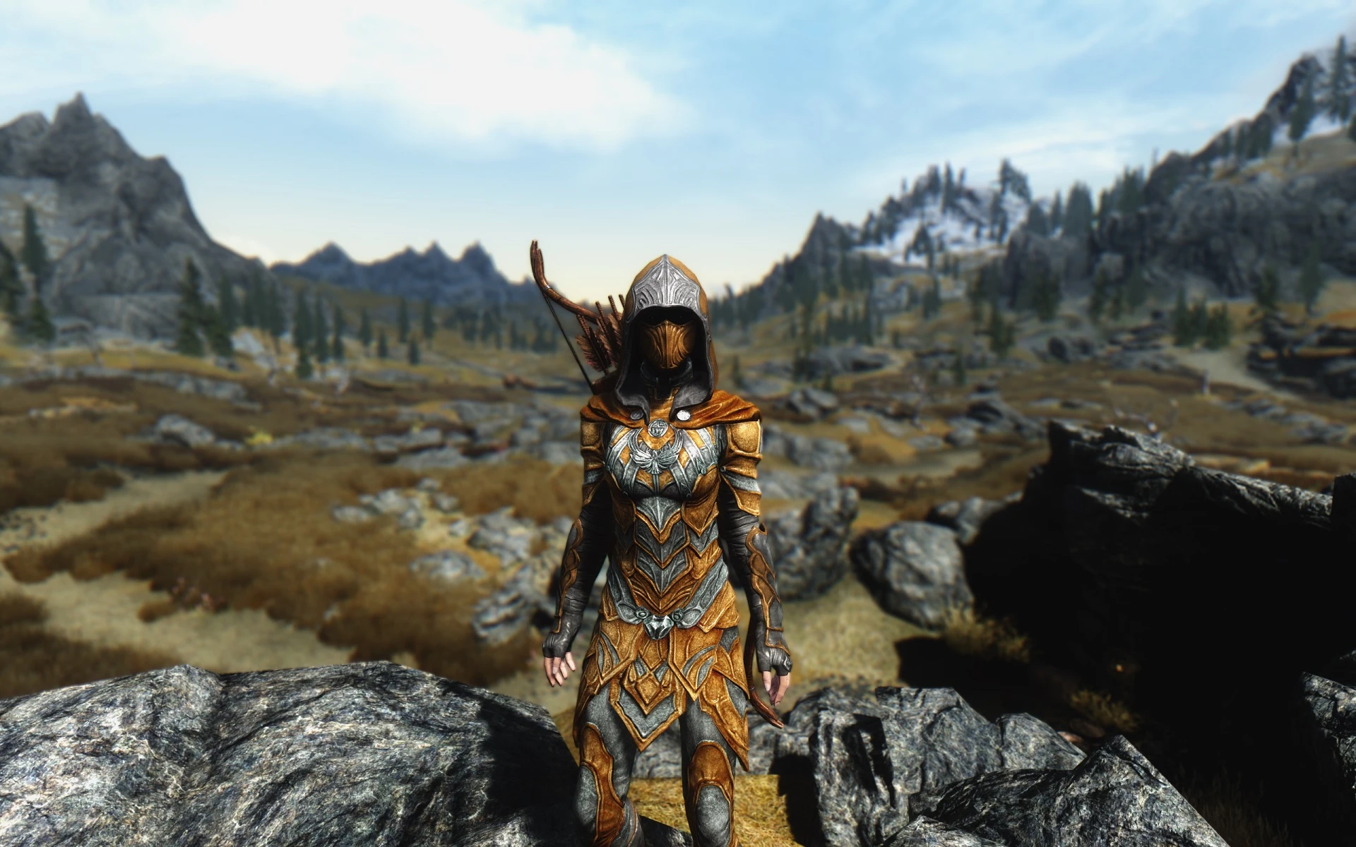 Все для скайрим. Скайрим броня наёмницы. Skyrim se броня следопыта. Lamellar Armor скайрим. Скайрим броня Эдвин.