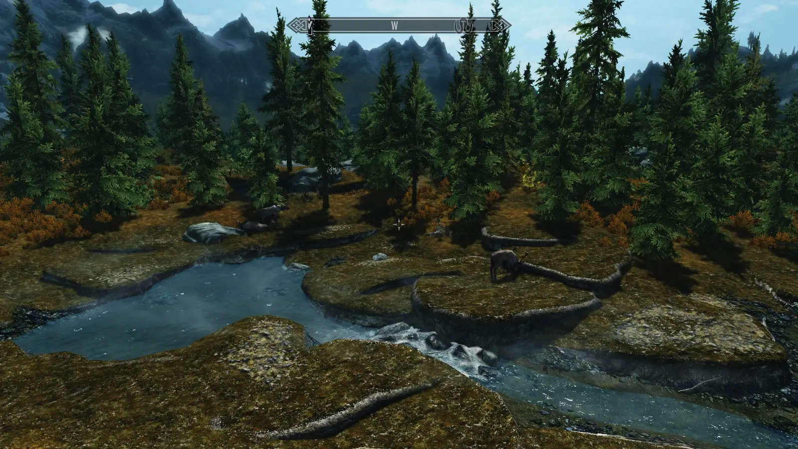 Overhaul mod. Скайрим more Forests. Старая Графика Скайрима. Лес Графика. Skyrim графический мод cartoon.