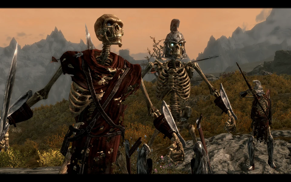Игра где убивают скелетов. Армия скелетов скайрим. Skyrim скелеты в броне. Скелет воин. Игра про скелета.
