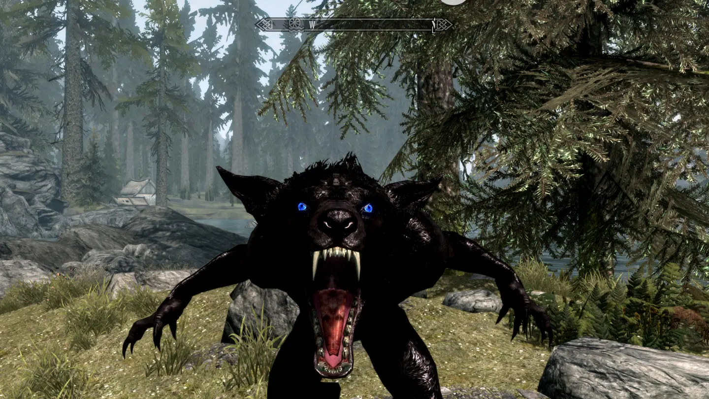 skyrim nexus mods skyrim nexus mods