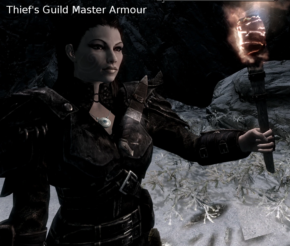 skyrim guild master armor mod