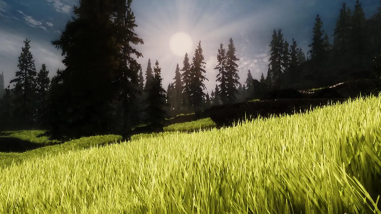 Better Field Grasses at Skyrim Nexus - mods and community