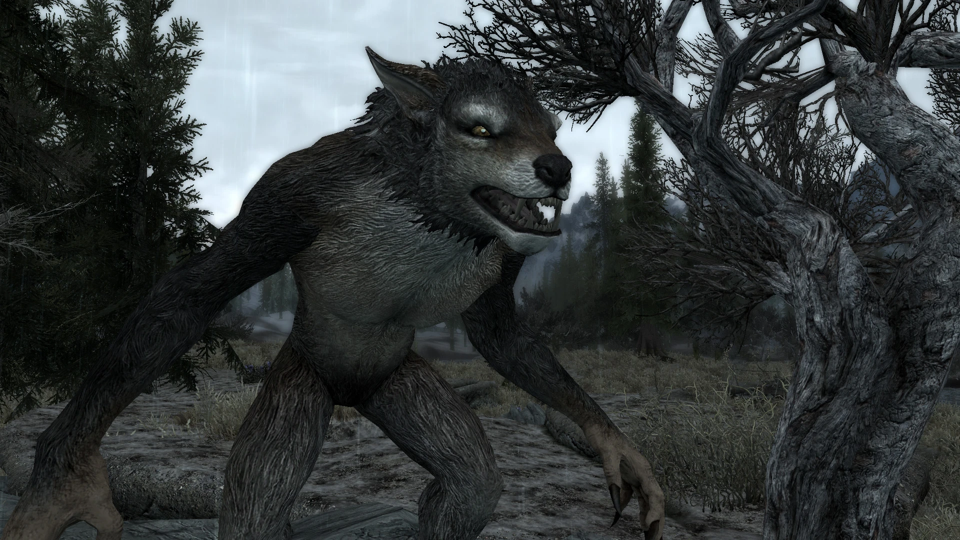 More Wolf-Like Werewolf Skin at Skyrim Nexus - mods and community